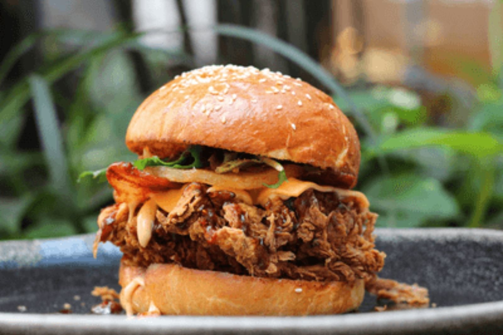 North burger on a dark plate
